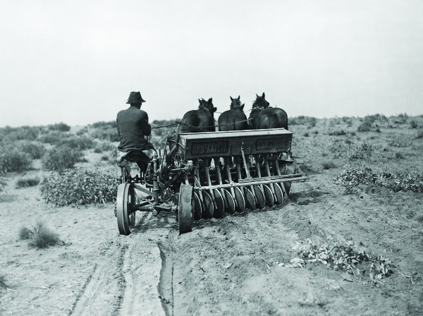 A horse-drawn machine ploughing land with a man sitting on one end
