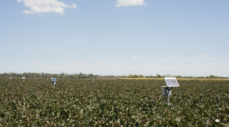 Agricultural sensor equipment 