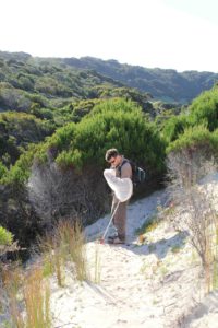 A man standing on a sandy track with a butterfly net