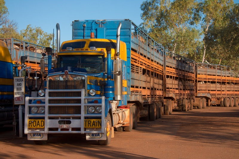 Road trains packed with cattle take a stop in Alice Springs. Image: Frans de Wit/Flickr CC BY-NC-ND