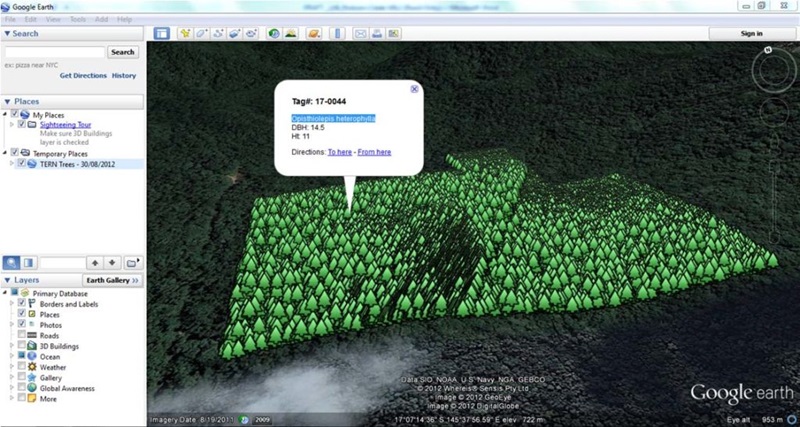 A Google map showing the a plot of rainforest and data points for individual trees