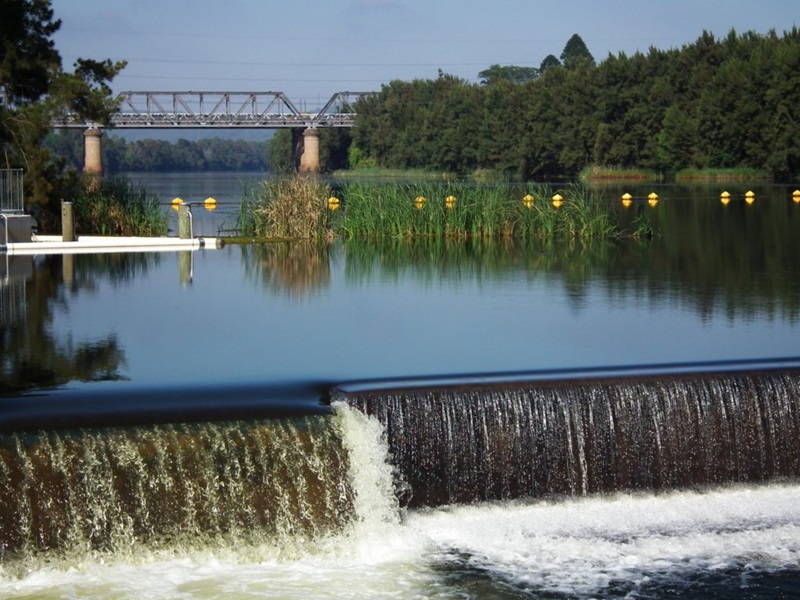 a weir with water in the foreground cascading over the weir, reids reflecting in the water middle ground, bridge in the background