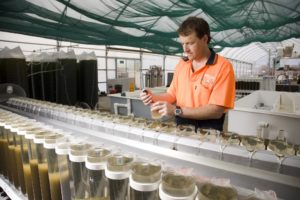 Man in a lab with various containers