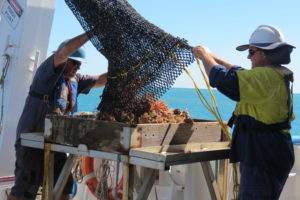 Two people holding a large fish net to empty contents