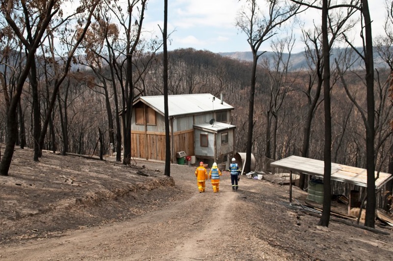 Three people walking toward a house surrounded by a burnt forest