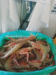 A smallbox of prawns held by a person in lab coat