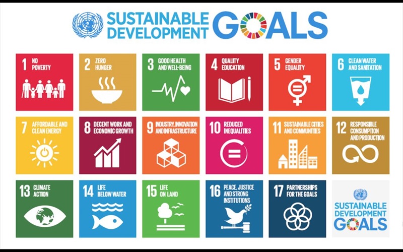 graph with 15 UN development goals