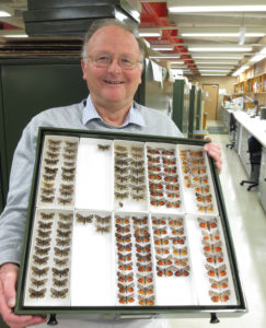 A man holding a tray with butterflies displayed on it