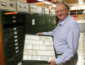 Man holding a tray of moth specimens standing next to green cabinets