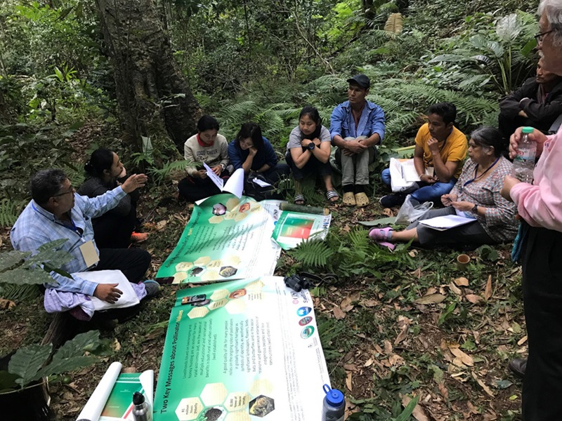 a group of people sitting on the forest floor discussing around a couple of large posters
