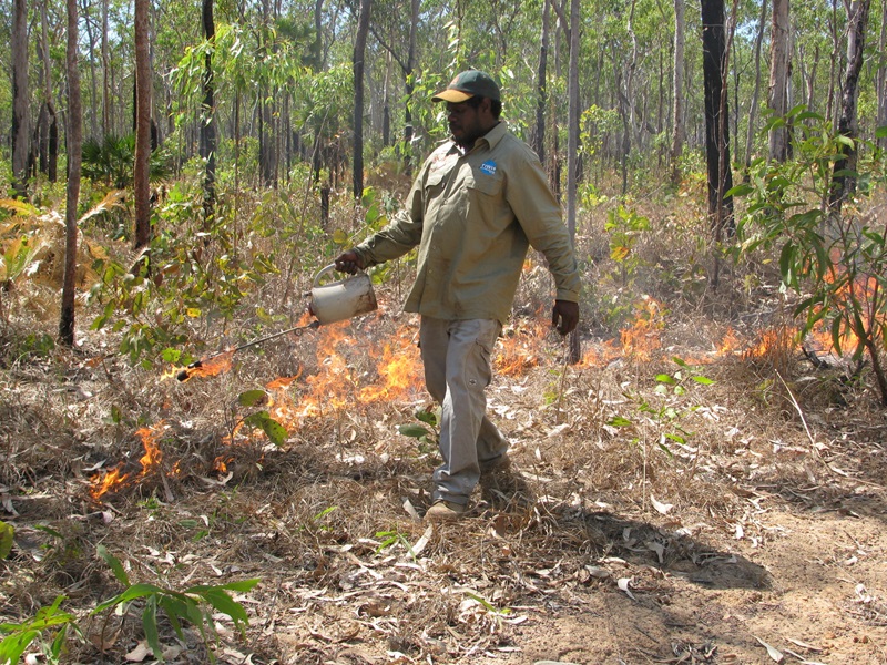 man lights fire in a forest