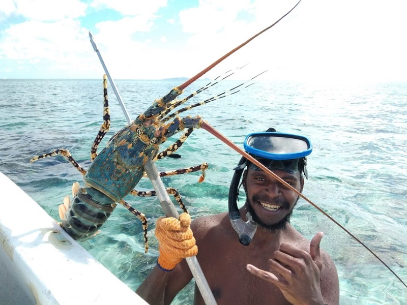 Indigenous fisher wearing snorkel on his head holding a rock lobster caught with a spearing device