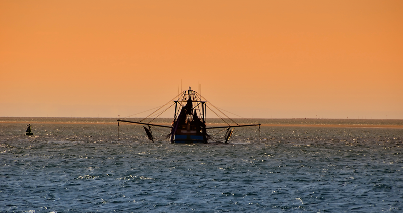 trawler in sunset