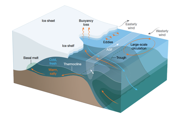 block diaram showing dynamics of the Southern Ocean