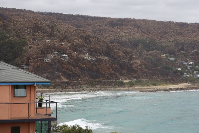 A beach facing slope with homes damaged by bushfire