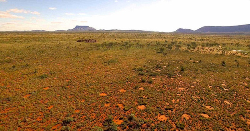 Wideshort of desert with bare patches of red dirt in the foreground