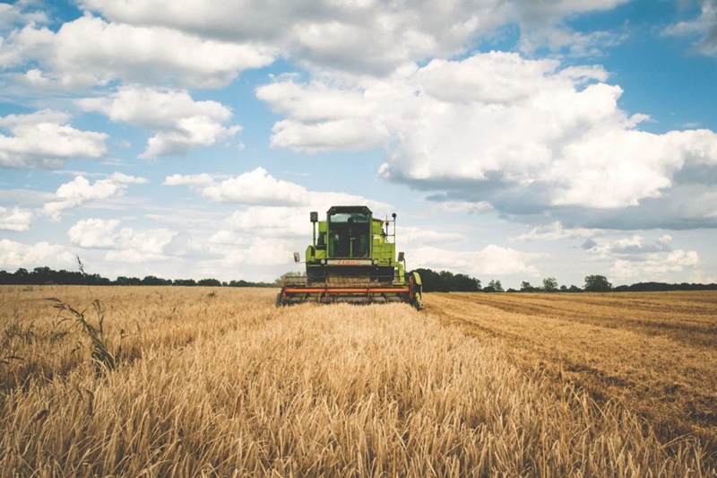 Agriculture creates emissions throughout the production process.
