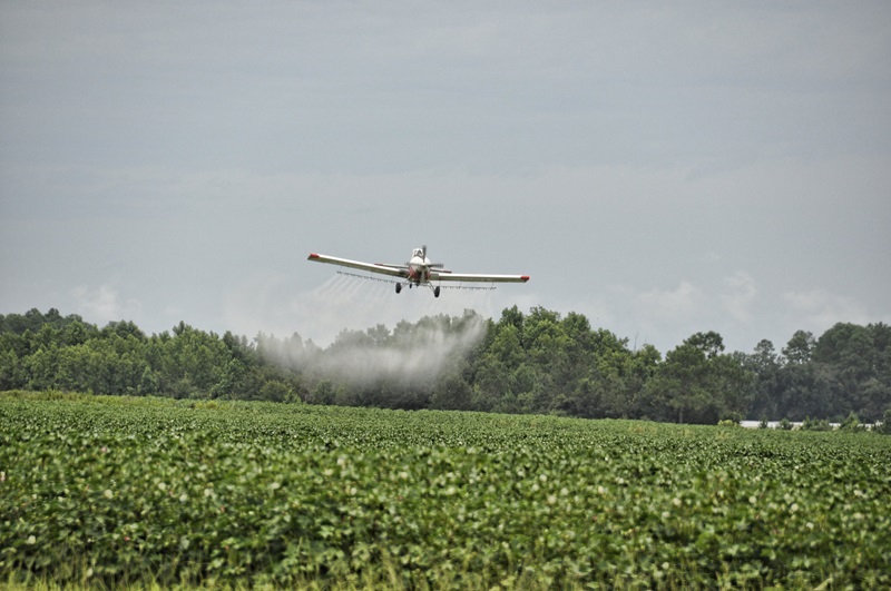 small plane spraying crops