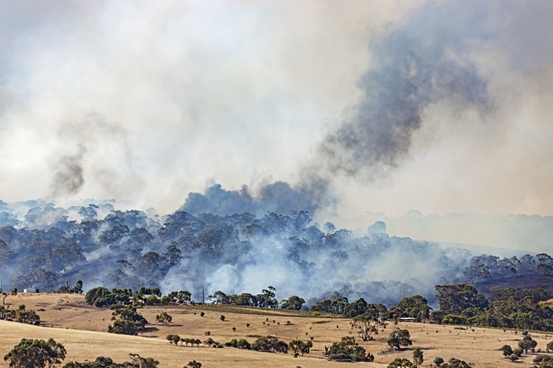 Bushfire with smoke entering the atmosphere