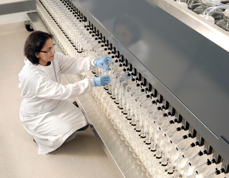 scientist in lab coat kneeling down in front of a bioplastics testing lab