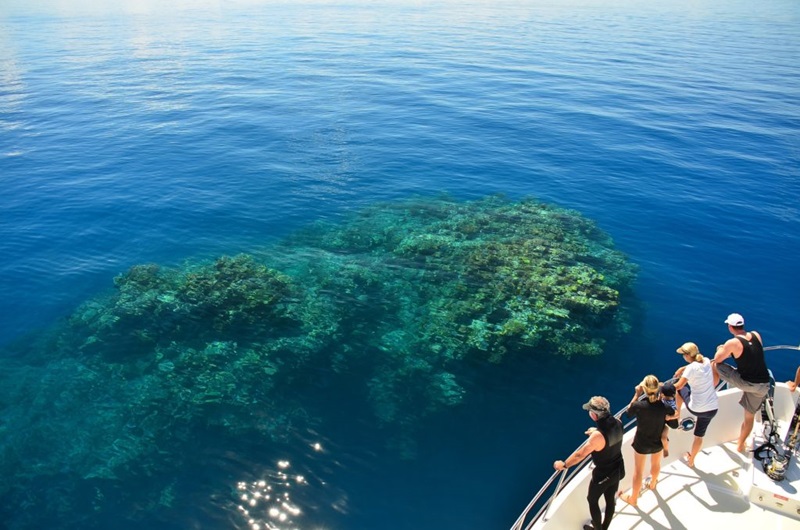 Tourists look at a reef from on board a boat 