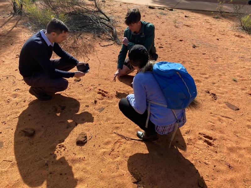Three people squatting in red sand observing tracks