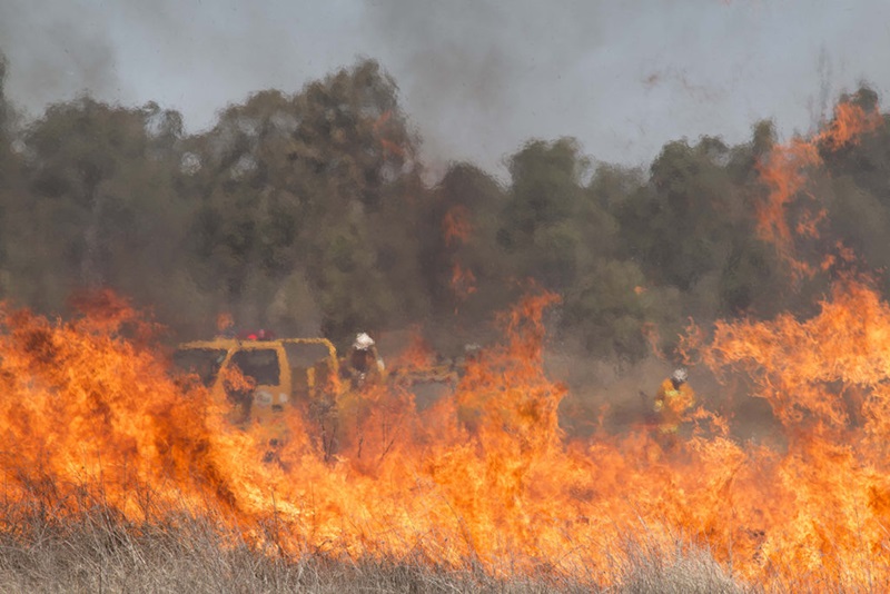 Grass on fire with firefighters in background