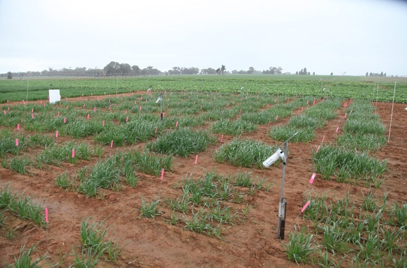 Plot trials.