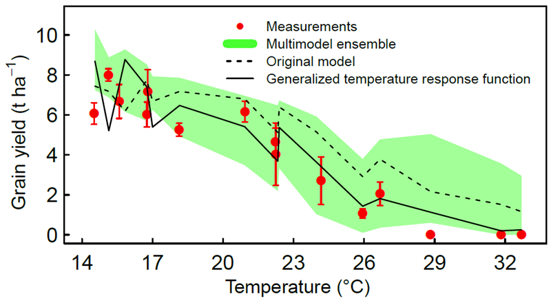 graphic showing grain yield v temp