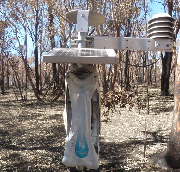 Fire damaged soil temperature sensors.