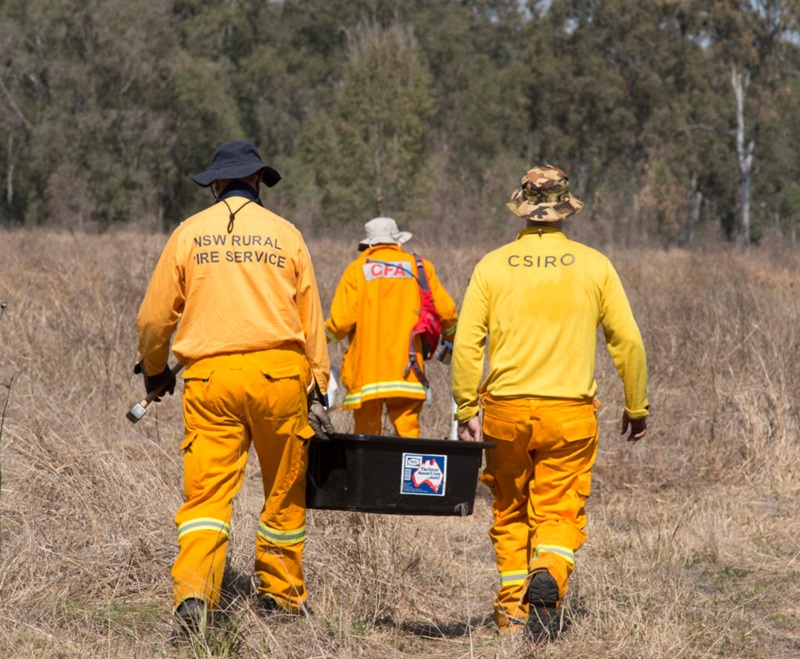 scientists and CFA in high viz gear heading into bush