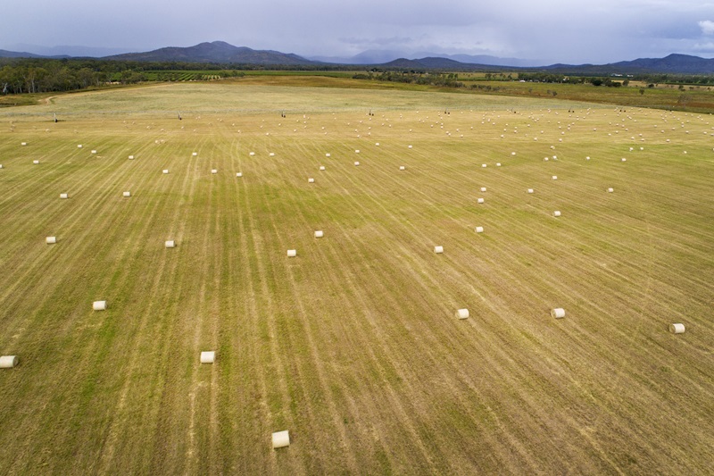aerial of a field with hay bales and mountains in the background