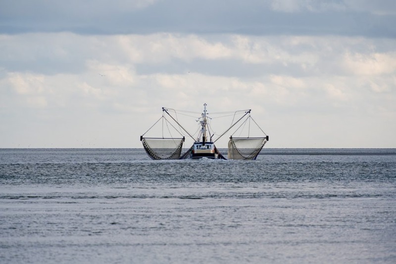 Fishing boat at sea.