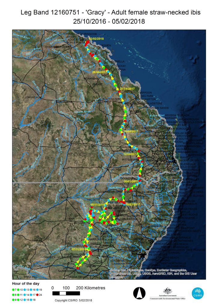 map showing flight path of ibis