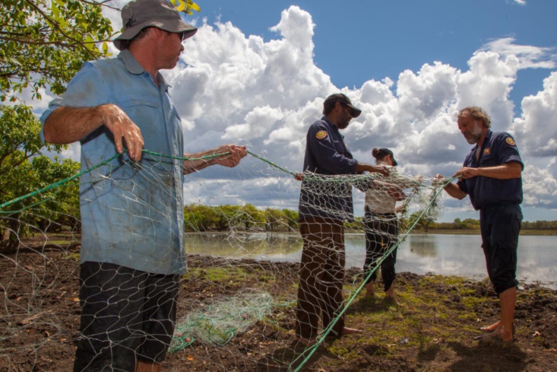 Four people holding and inspecting a green fishing net on the edge of water body.