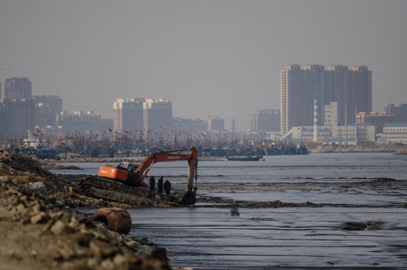 In China alone more than 1.2 million hectares of wetland reclamation has taken place in the last 50 years, perhaps accounting for more than 5 per cent of the worlds’ tidal wetlands. Credit: Nick Murray