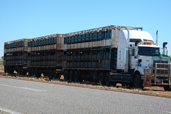 A road train parked on the side of a road