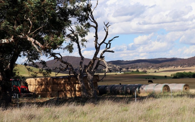 On-farm hay supplies.