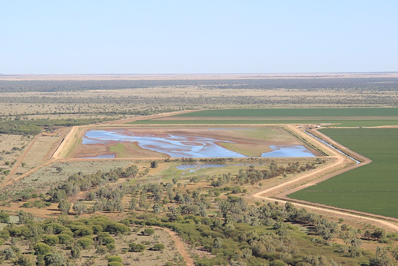 Aerial photo of a large rectangular earth dam among crops and trees