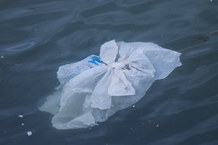 plastic bag floating on the ocean surface