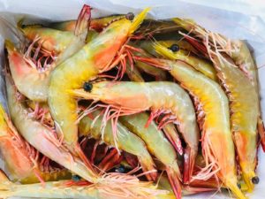 A box of redleg banana prawns viewed from above