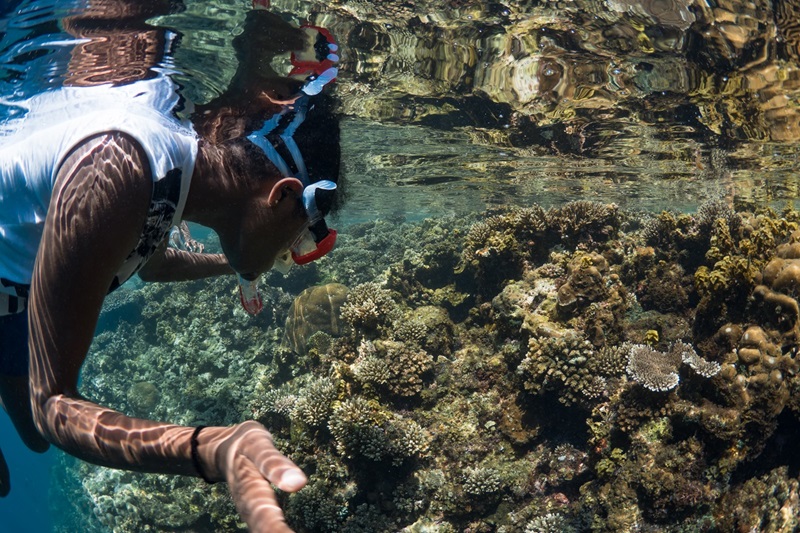 Snorkeler in the Great Barrier Reef