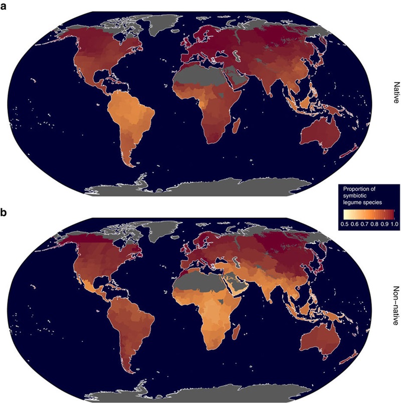 Two world maps with colour spectrum