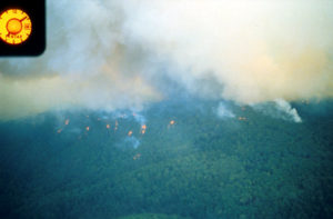 spotfires and smoke on densely-forested ridge