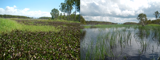 2 photos comparing weltand before and after rehabilitation