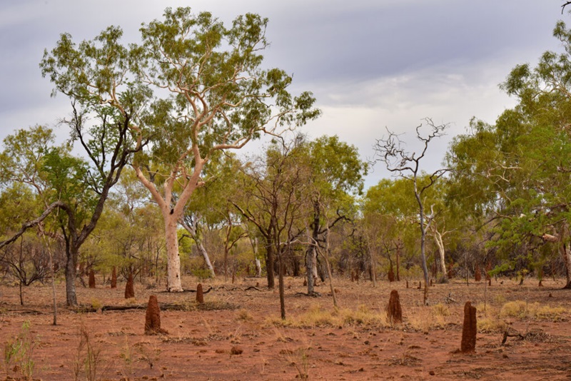 Landscape image of Northern Territory's Beetaloo Sub-basin 