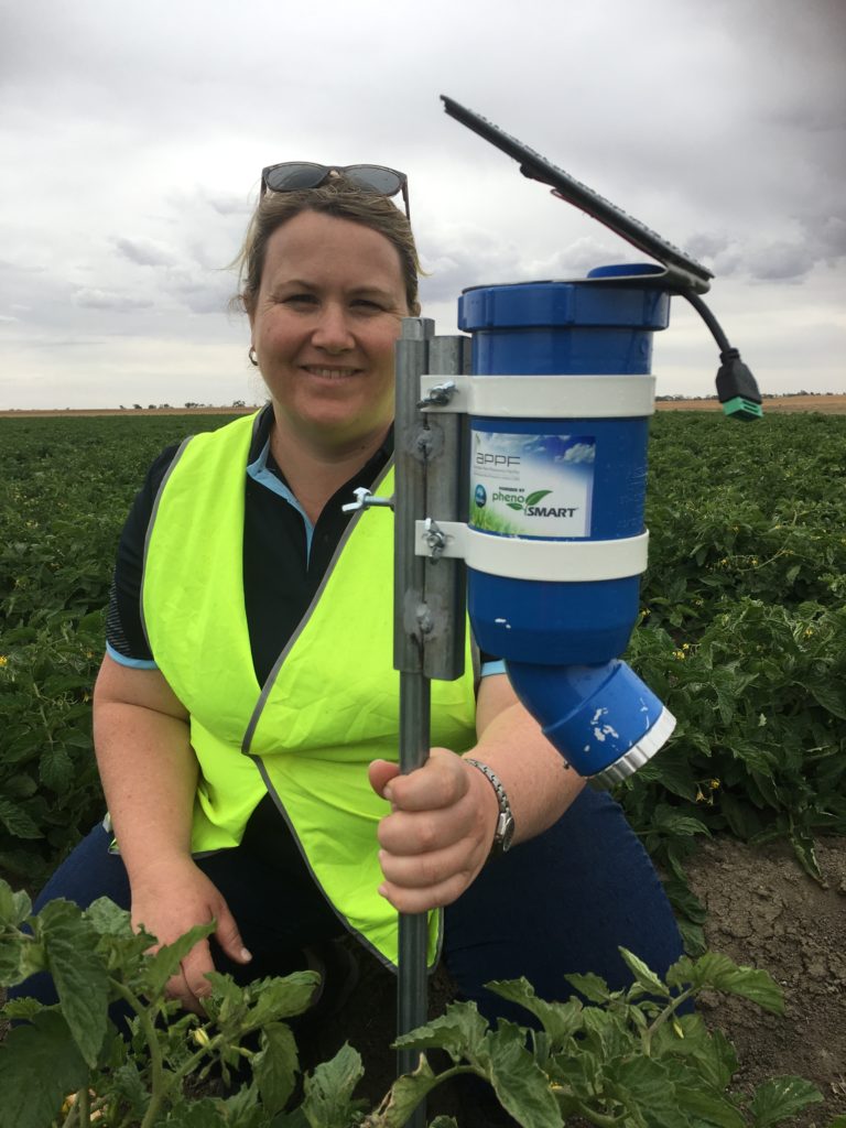 A scientist with a sensor in a field.