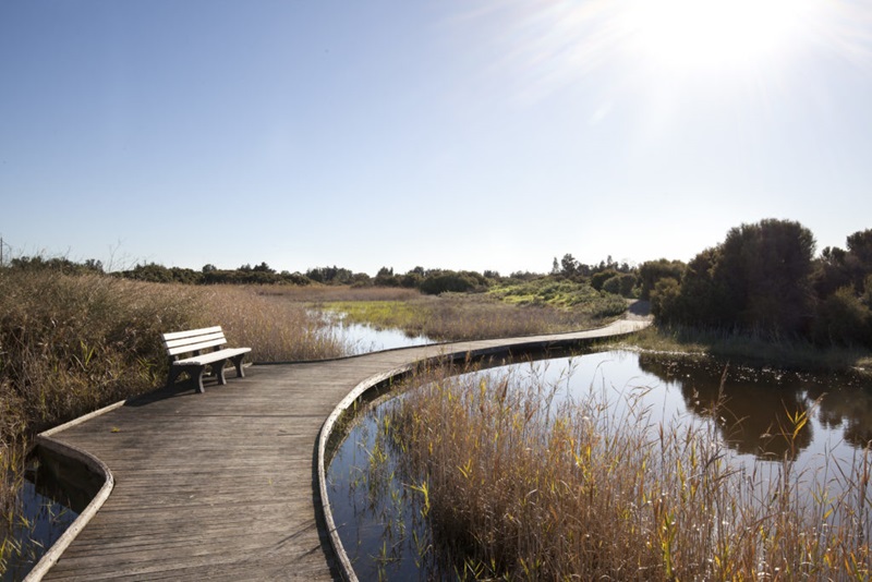 Wetland and seat