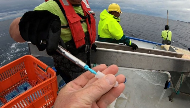 Researcher holds DNA sampling equipment