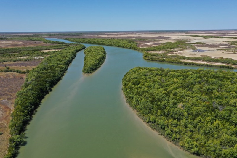 Drone shot of river system with mangroves. blue skies.